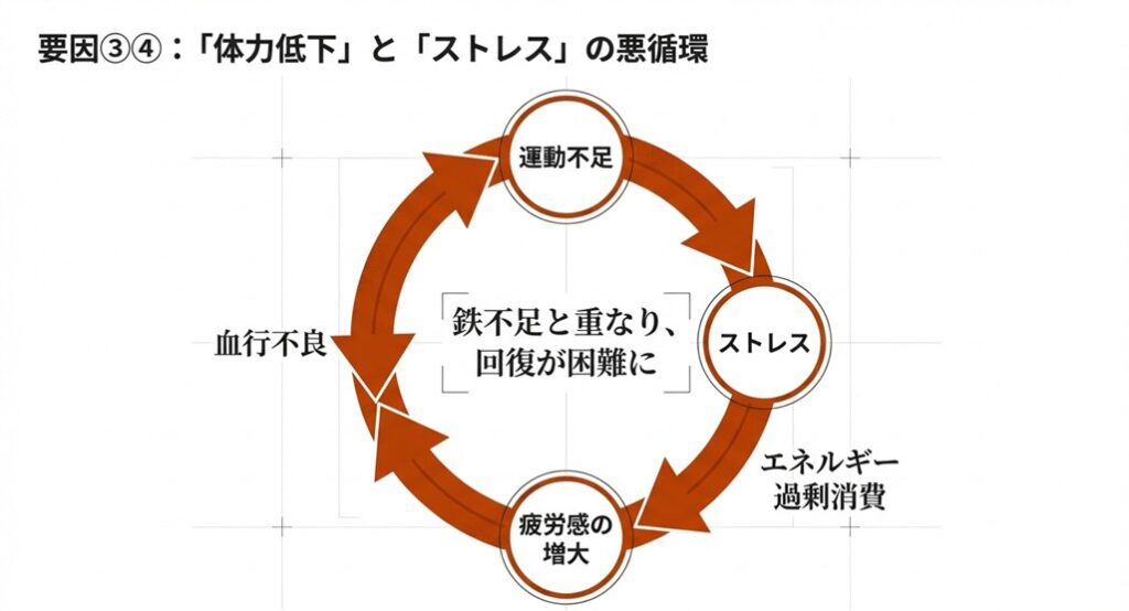運動不足による血行不良とストレスが重なり、疲労が回復しない悪循環のサイクル図