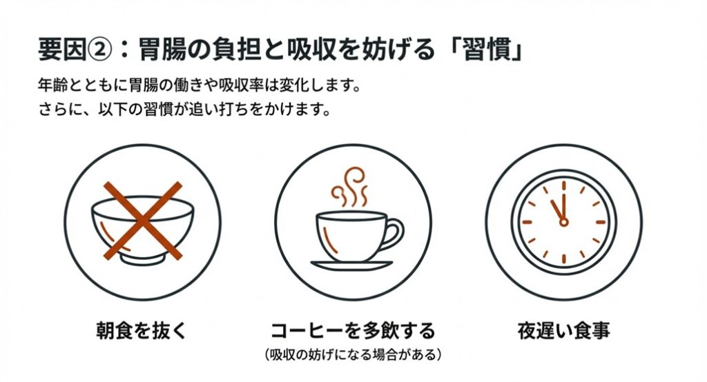 胃のイラストと、鉄の吸収を妨げるコーヒーや朝食抜きの習慣を示すアイコン