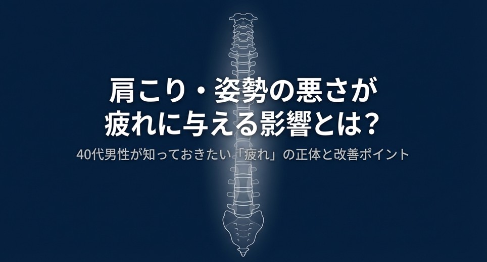 人間の背骨と骨盤のレントゲン風イラスト。肩こりと姿勢の悪さが疲れに与える影響についての解説表紙