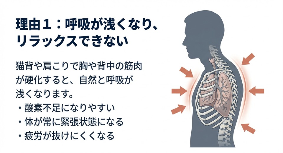 猫背により肺が圧迫され、呼吸が浅くなっている図解。酸素不足により体が常に緊張状態になる仕組み